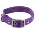 Pet Collar